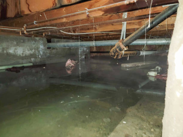 Professional Water damage restoration in Pineville, LA