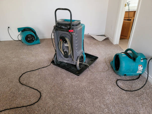 Best 24/7 water damage repair  in Pineville, LA