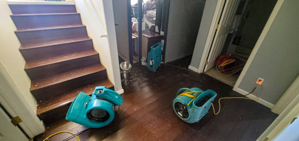 Best Water damage cleanup near me  in Pineville, LA