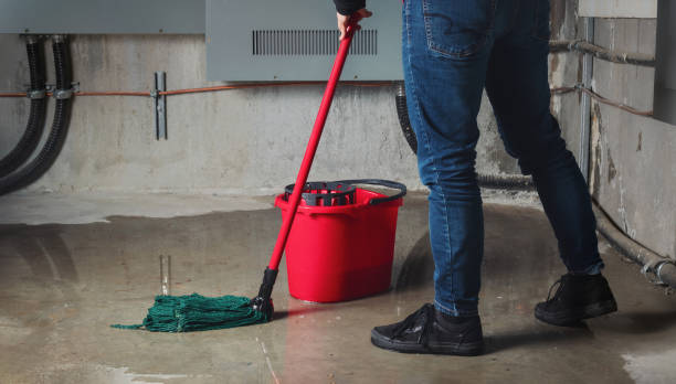 Best Carpet water damage restoration  in Pineville, LA