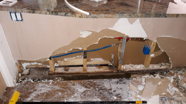 Best Water damage restoration cost  in Pineville, LA
