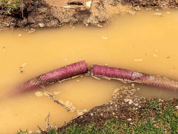 Best Professional water damage repair  in Pineville, LA