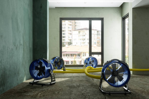 Best Sewage cleanup and water damage restoration  in Pineville, LA